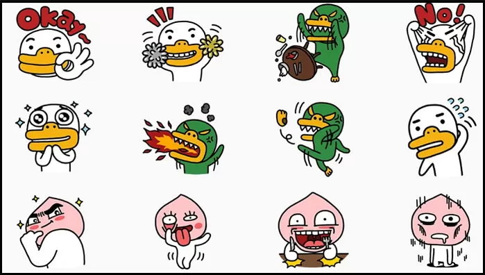 인사이트
