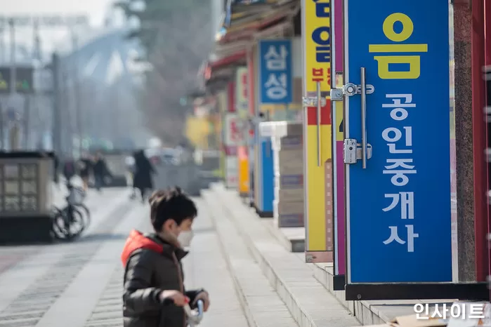 인사이트