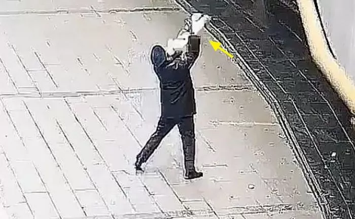 인사이트