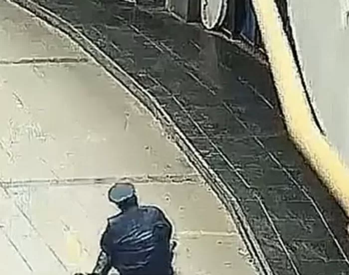 인사이트
