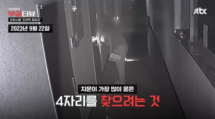 인사이트