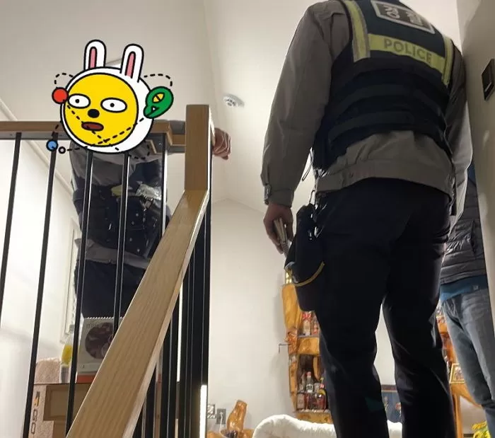 인사이트