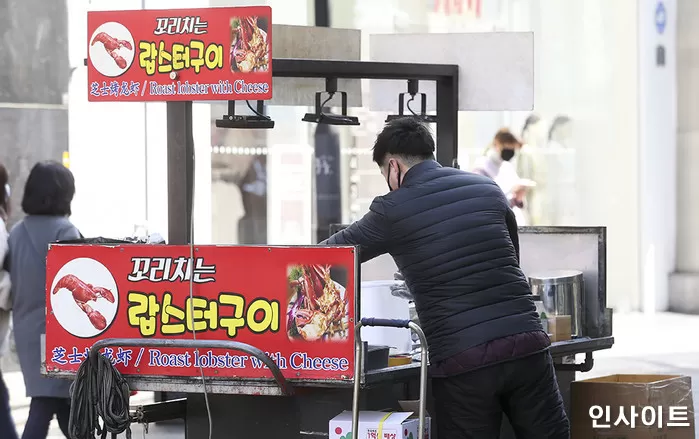 인사이트