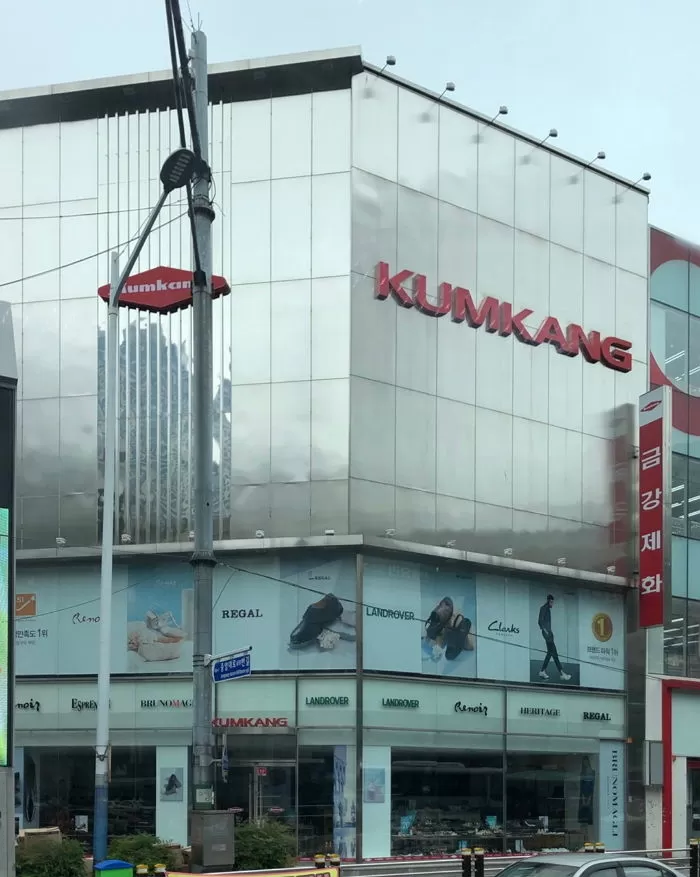인사이트