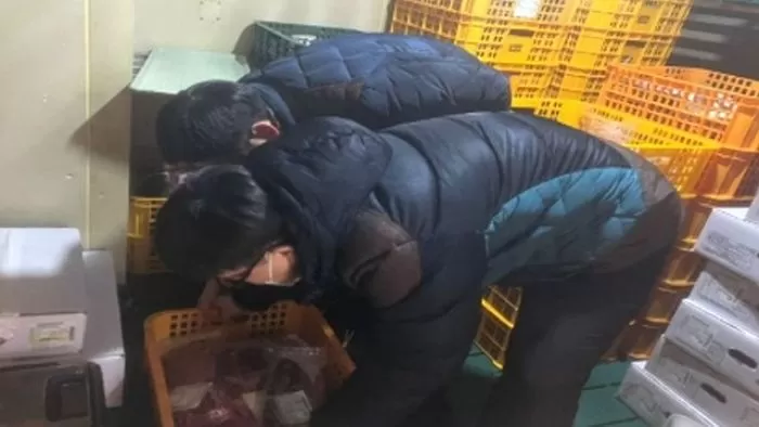 인사이트