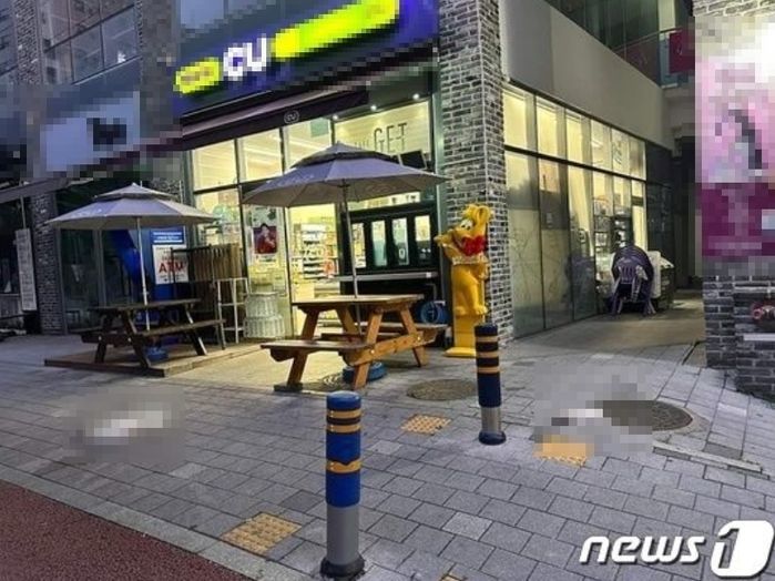 12층서 기르던 고양이 2마리 던져 죽인 남성 징역형