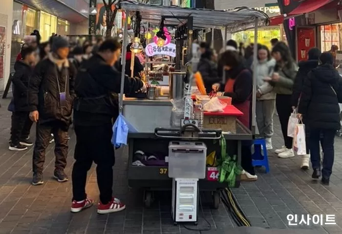 인사이트