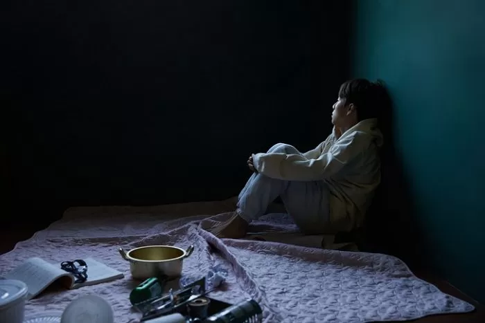 인사이트