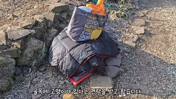 산골에서 동물병원 오가기 힘든데도 ‘구독자’가 버리고 간 고양이 2마리 받아준 유튜버 (+이유)