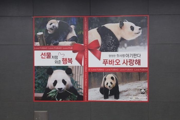 “영원한 첫사랑, 사랑해”...중국으로 떠나는 푸바오 위해 지하철 곳곳에 등장한 ‘특별한 선물’