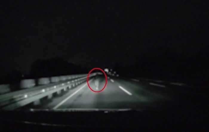 교통사고 뒤 사라졌던 피해자, 뒤따르던 SUV에 옷 걸려 7.3km 끌려가 숨진 채 발견됐다