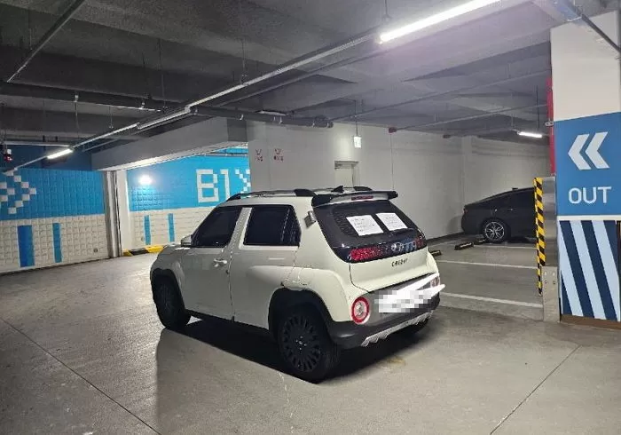 인사이트