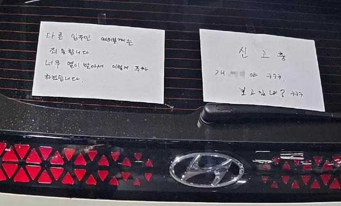 인사이트
