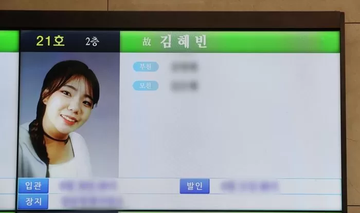 인사이트
