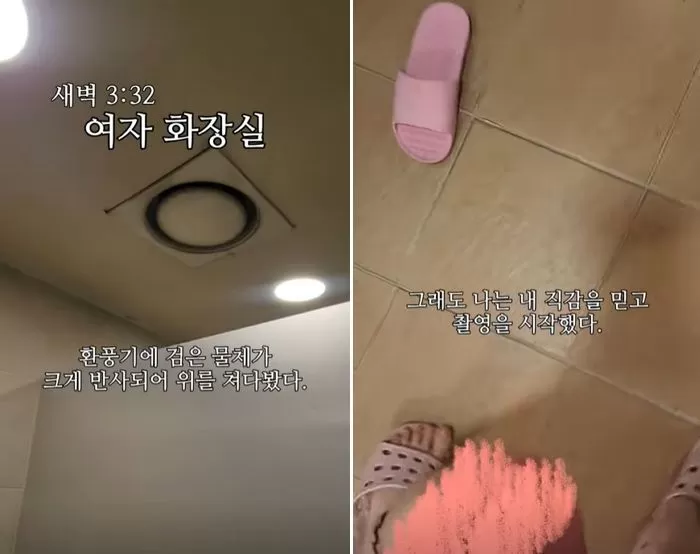 인사이트