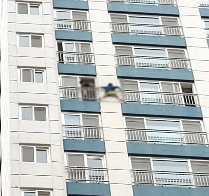 인사이트