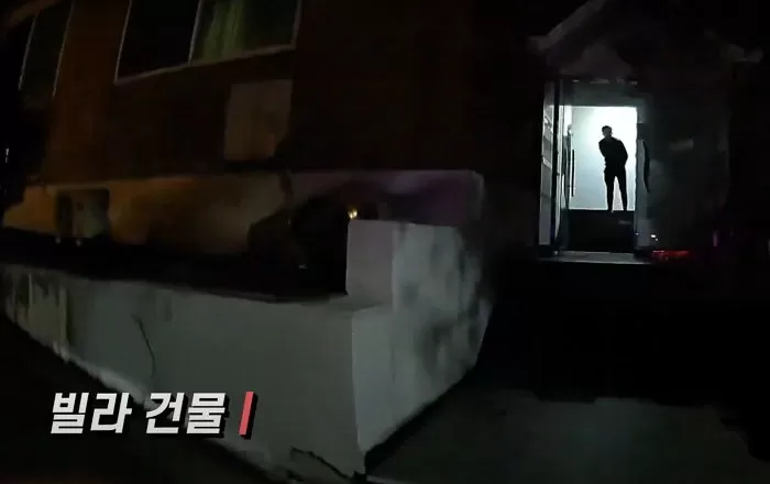 인사이트