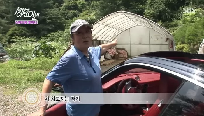 인사이트