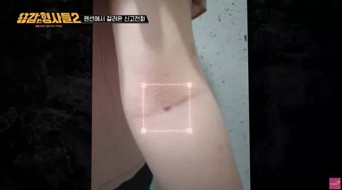 인사이트