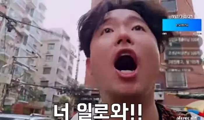인사이트