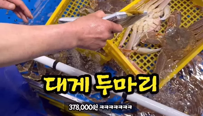 YouTube '생선선생 미스터S'