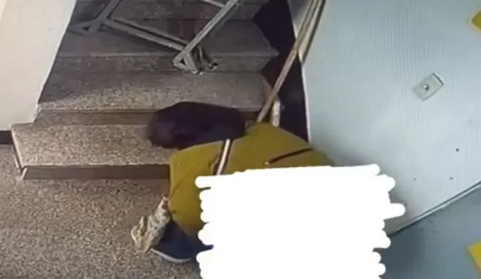 인사이트