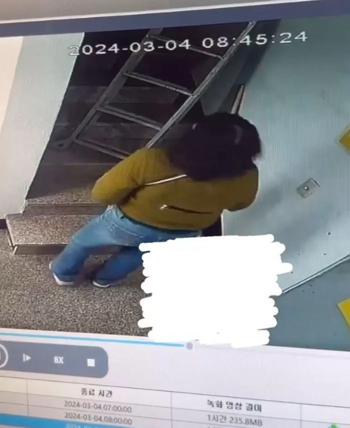 인사이트