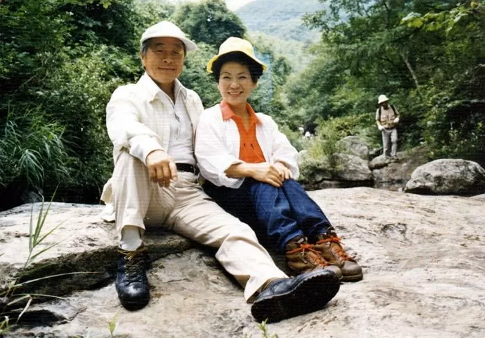 인사이트