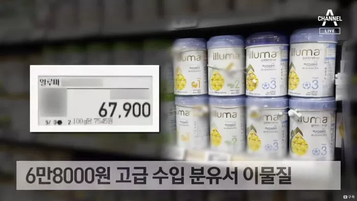 인사이트