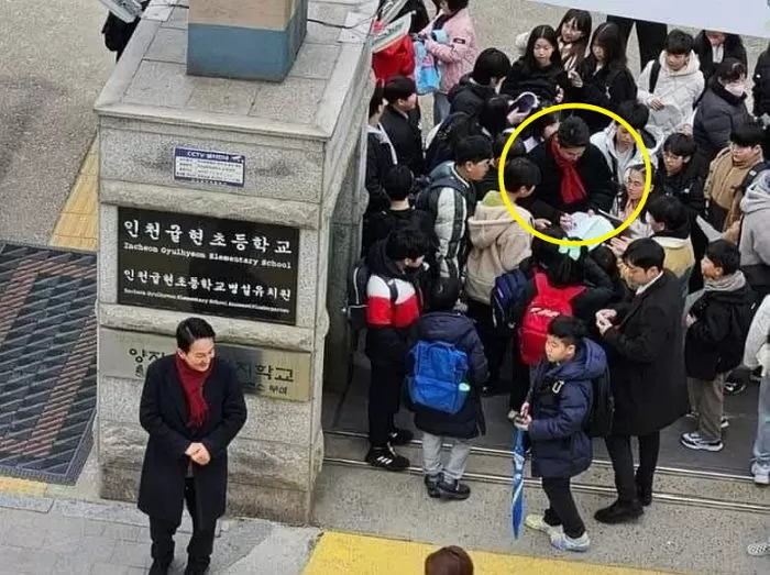 인사이트