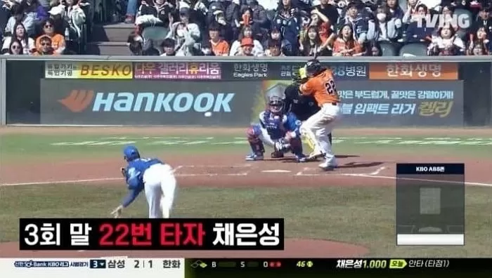 인사이트