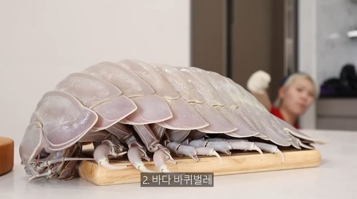 ‘바다 바퀴벌레’ 징그럽다고 울먹이더니 맛있어 속살 싹 다 뜯어먹은 수빙수 (영상)