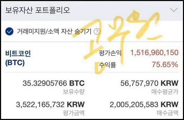 인사이트