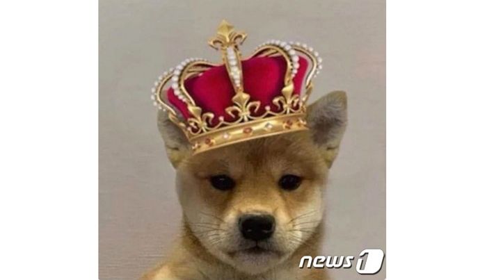 “제2의 도지코인”...하루새 25% 폭등하며 ‘밈코인 시장 시가총액’ 4위 등극한 코인 정체