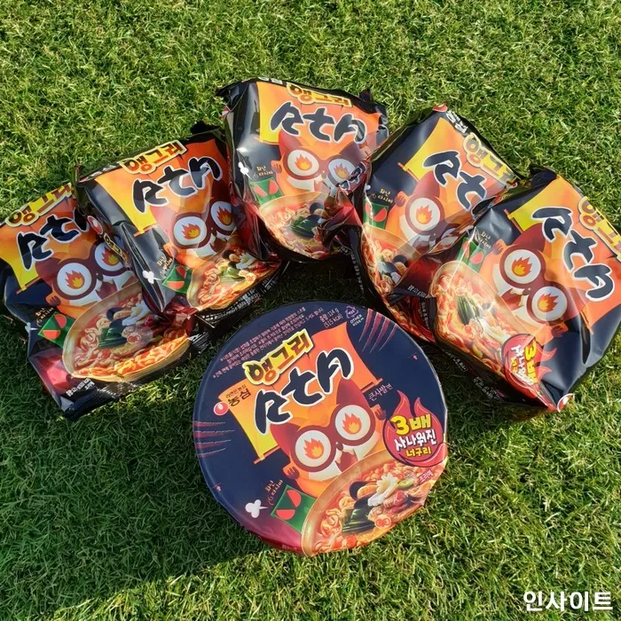 인사이트