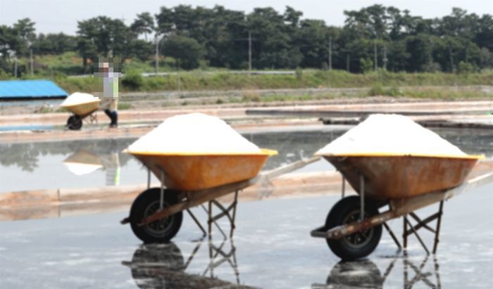 전남 신안군, 이마트24와 함께 ‘K-김밥 월드컵’ 연다...참가팀 100팀 모집