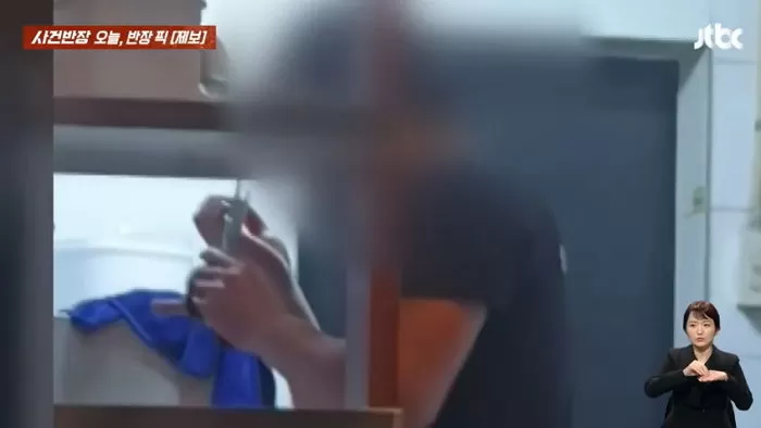 인사이트