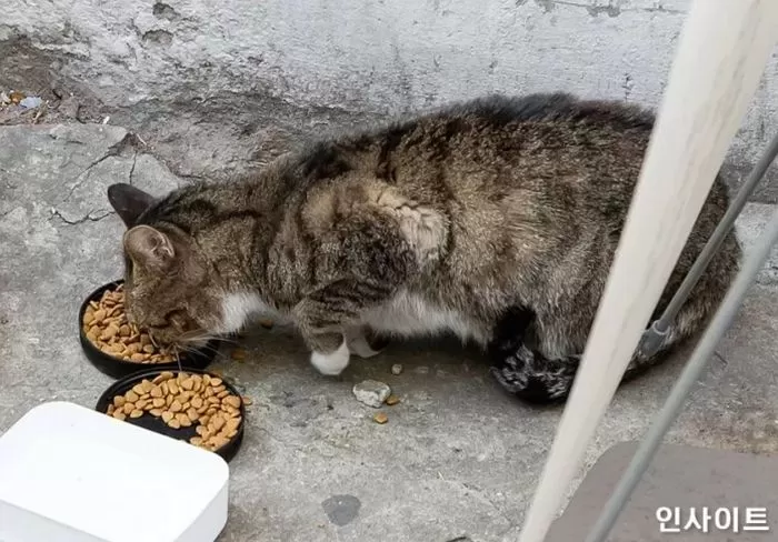 기사의 이해를 돕기 위한 자료 사진 / 사진=인사이트