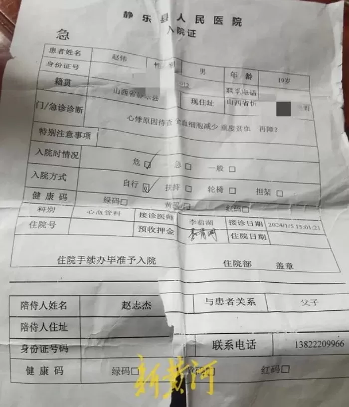 인사이트