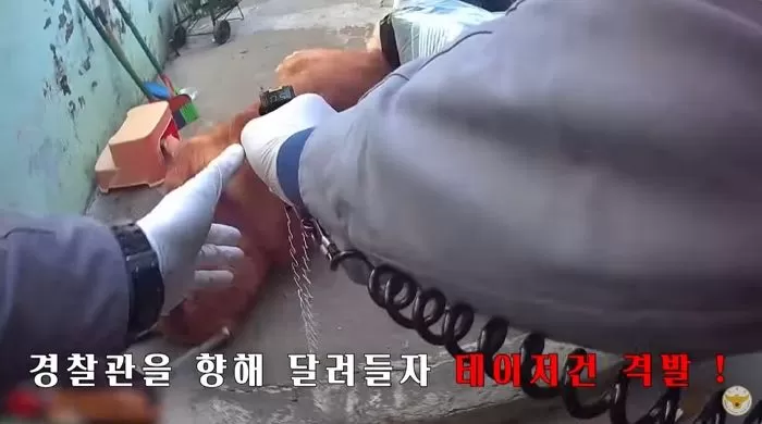 인사이트