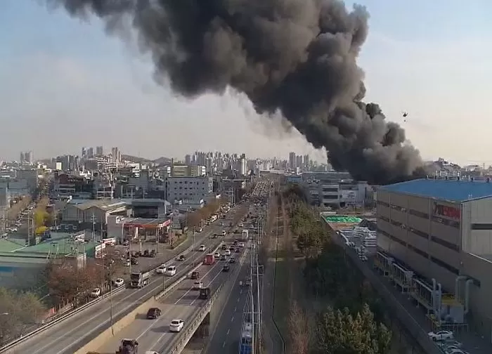 인사이트