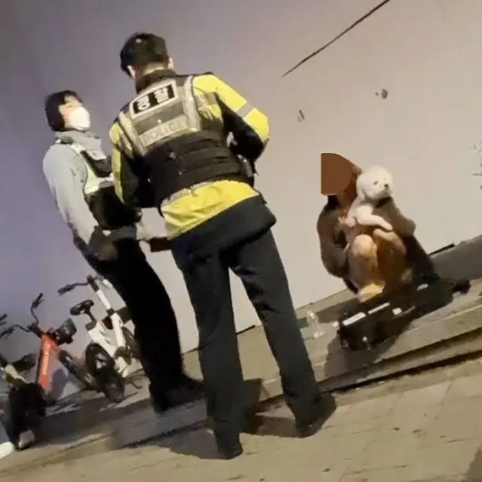 음주운전으로 배달원 사망케 한 20대 여성 DJ측 “오토바이가 법 지켰으면 사고 안 났을 수도”