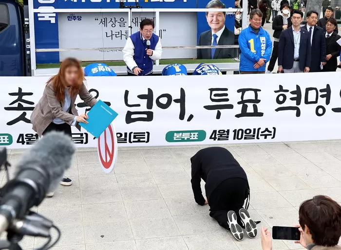 인사이트