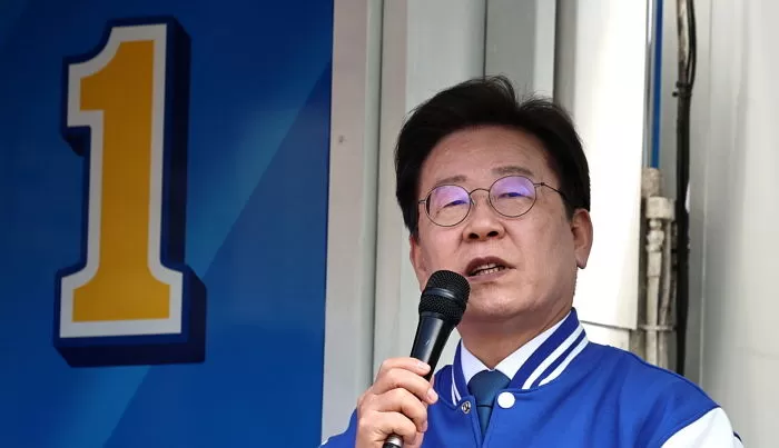 인사이트