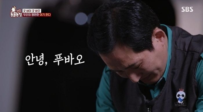 “안녕 푸바오”...아기판다 푸바오 떠나던 날, 송영관 사육사도 오열했다