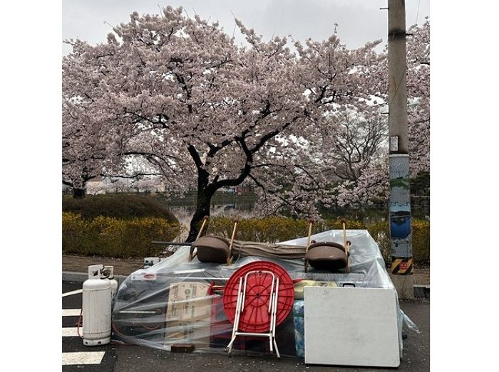 “벚꽃 구경갔는데 ‘노점상’ 너무 많아 인증샷들이 다 보기 흉했습니다”