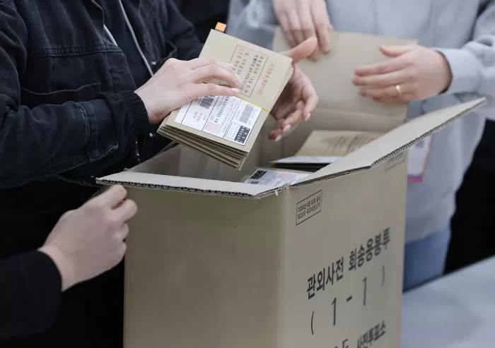 인사이트