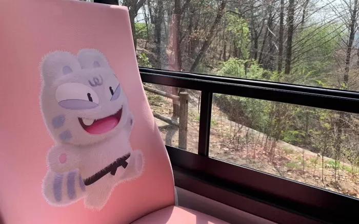 인사이트