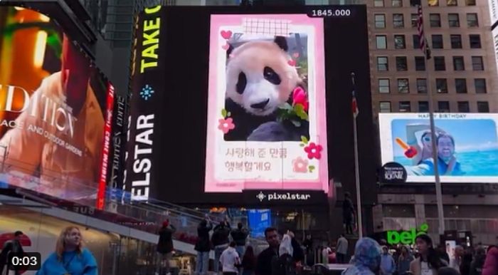 “사랑해 준 만큼 행복할게요”... 뉴욕 타임스퀘어에 뜬 푸바오 (영상)