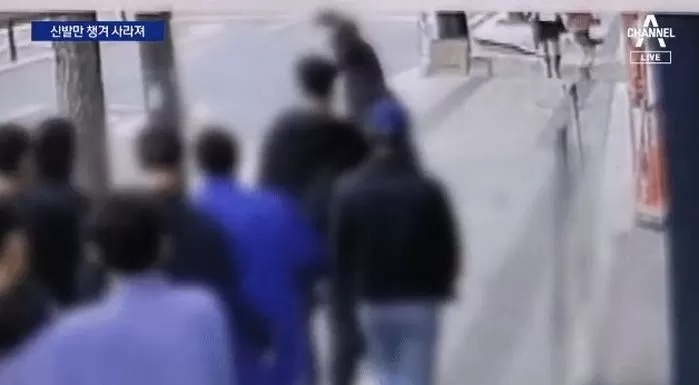 인사이트